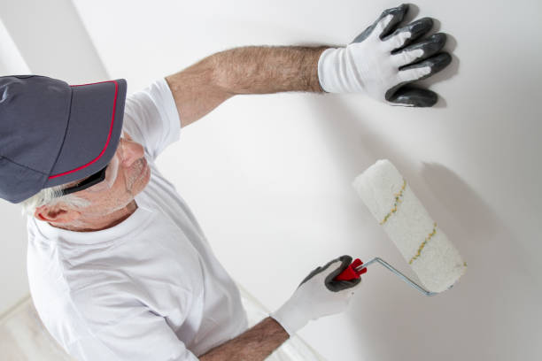 Sterling, CO Mold Removal Company