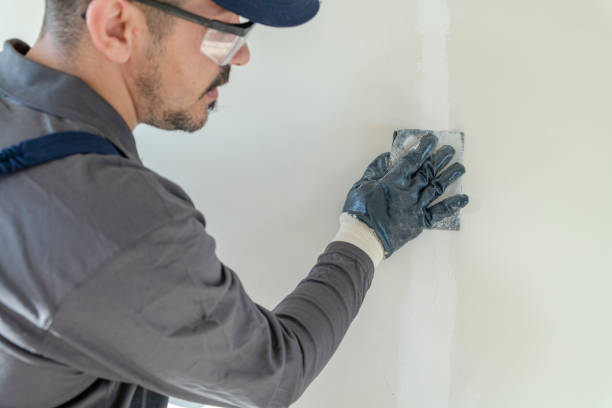 Mold Documentation for Insurance Claims in Sterling, CO