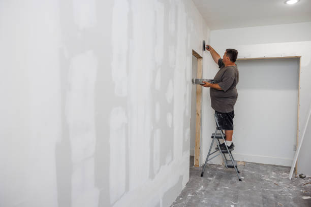Best Mold Odor Removal Services  in Sterling, CO