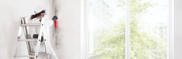 Mold Removal for HVAC Installations in Sterling, CO