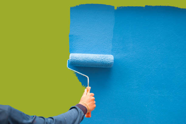  Sterling, CO Mold Removal Pros