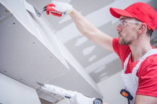 Best Emergency Mold Remediation  in Sterling, CO